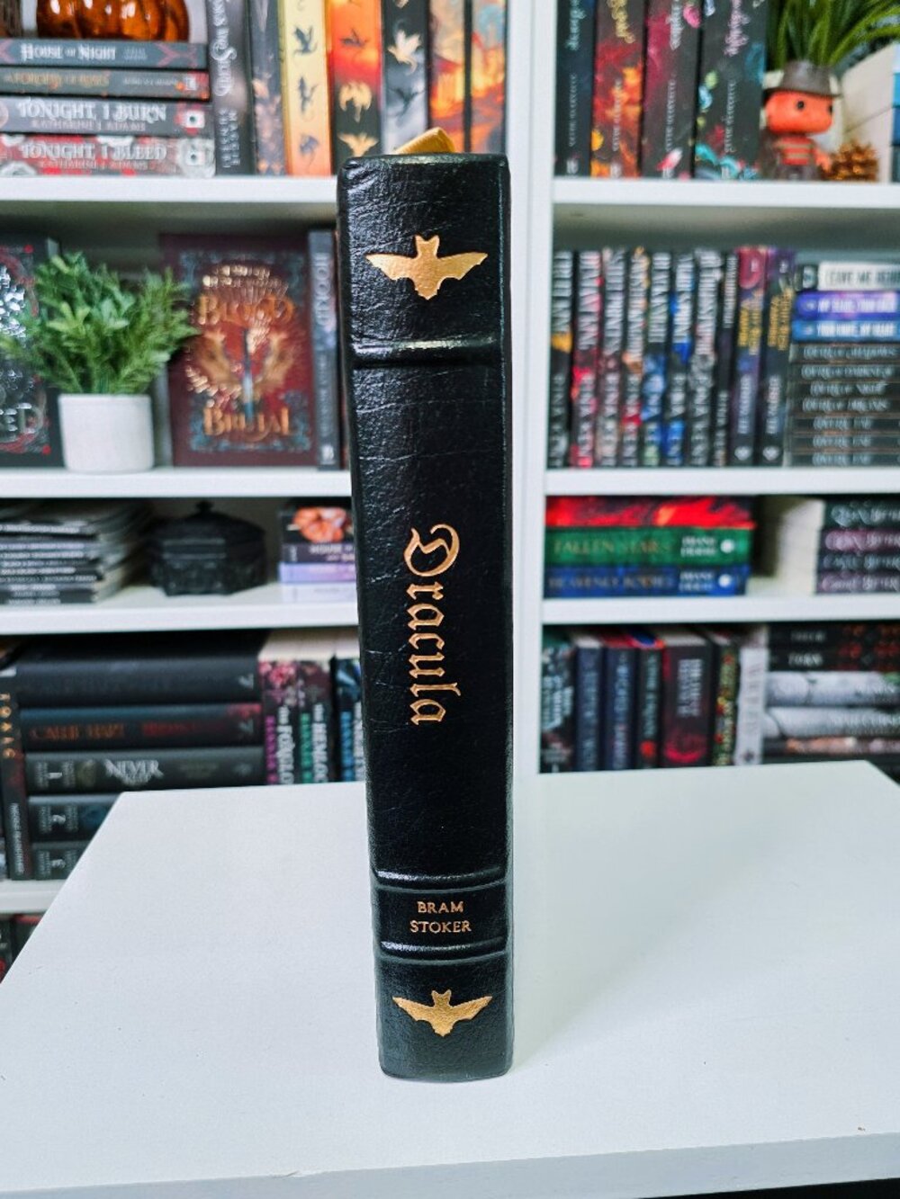 RARE DRACULA Leather Bound Collectors Edition - Picture 4 of 12